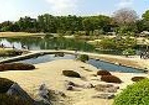 今日【ひな祭りイベント】