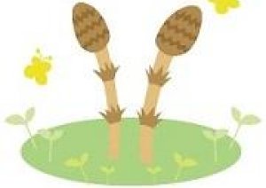 3月初めての週末