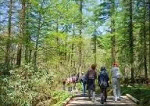 ４カ月半振りに岡山県立森林公園オープン