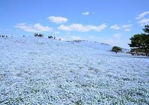 時短要請の為16日まで休業します