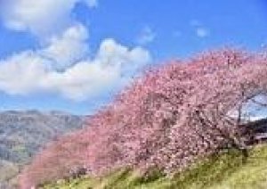 春に模様替え