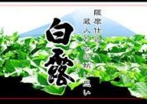 今日9月8日は【白露】