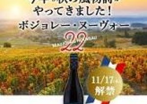 今日からボジョレー・ヌーヴォーワイン祭り 　11月16日〜22日まで