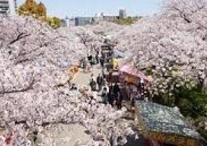 昨日投票が行われた統一地方選挙で新体制に