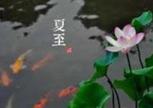 今日明日　金、土 6月21、22日浴衣祭り
