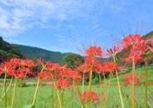 今週お月見イベント