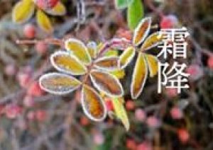 今日10月23日は「霜降(そうこう)」