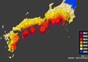 藍で【桜祭り】 4月3，4、5（木金土）開催